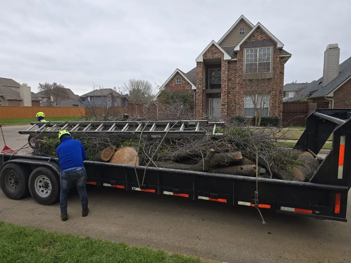 Expert Tree Removal with proper safety equipment in Sayville